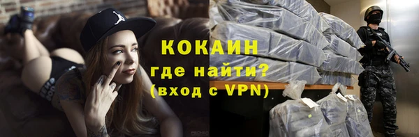 прущие крисы Гусев