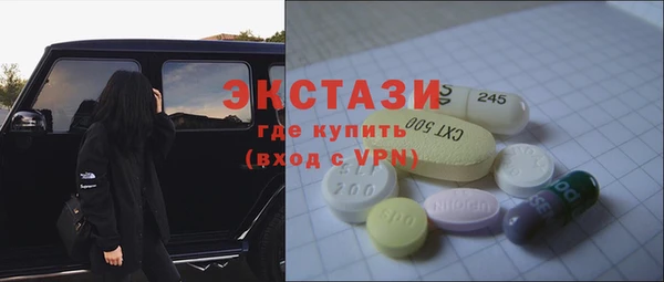 индика Гусь-Хрустальный