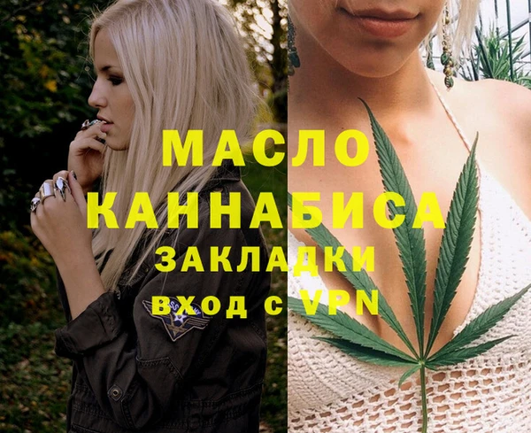 индика Баксан
