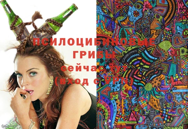стаф Балахна