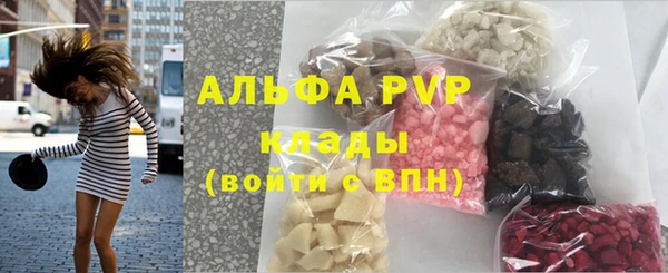 стаф Балахна