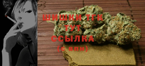 индика Баксан