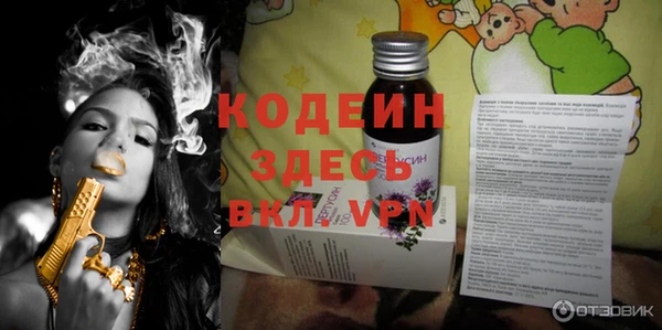 индика Баксан
