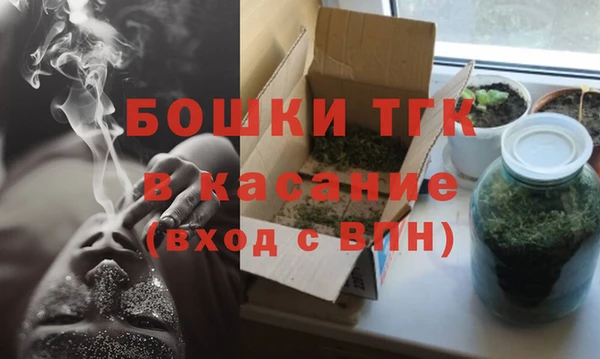 индика Баксан