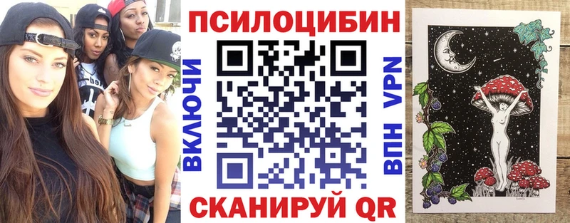 блэк спрут   Барабинск  Псилоцибиновые грибы MAGIC MUSHROOMS 